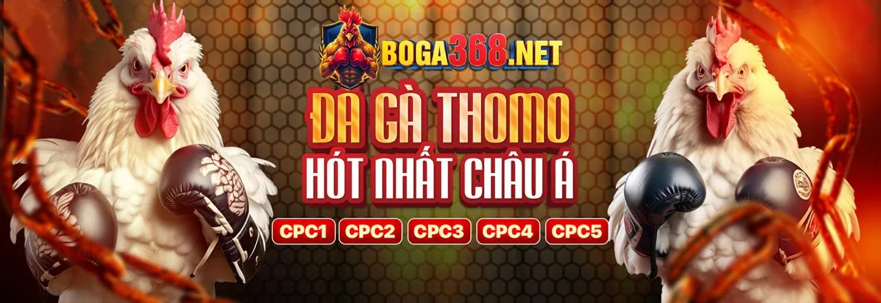 Đá gà trực tuyến 1bwm Bet với các trận đấu kịch tính và người chơi