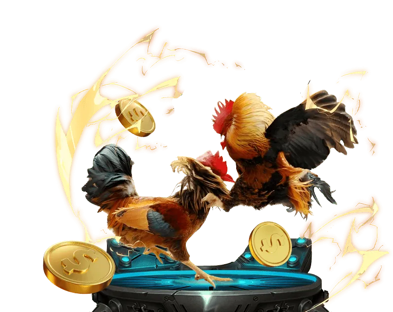 Vị trí thương hiệu 1BWM BET